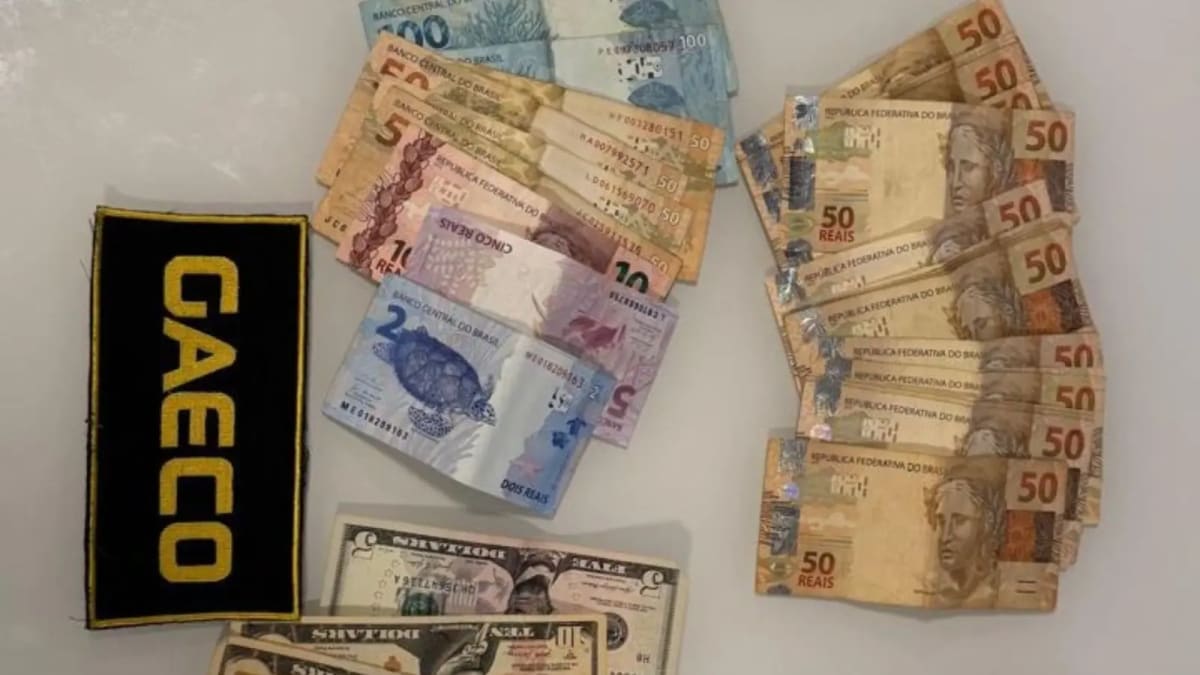 Gaeco cumpre mandados em operação contra esquema milionário de fraudes em licitações de livros paradidáticos
