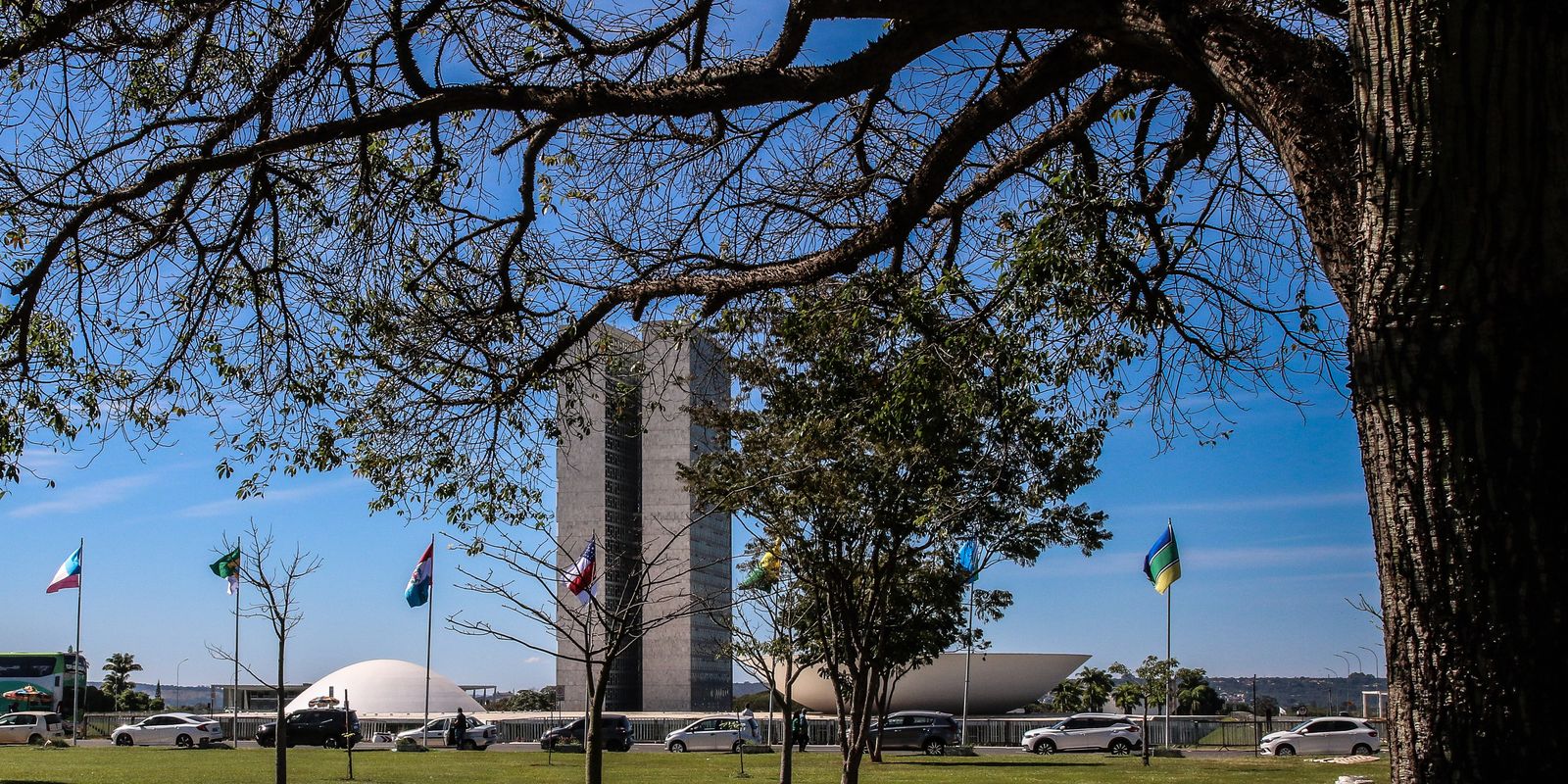 Senado aprova aumento de penas para crimes de violência sexual digital contra crianças