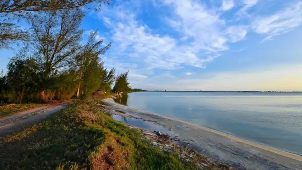 Bactéria de lagoas hipersalinas da Região dos Lagos ajuda a entender possibilidade de vida em Marte