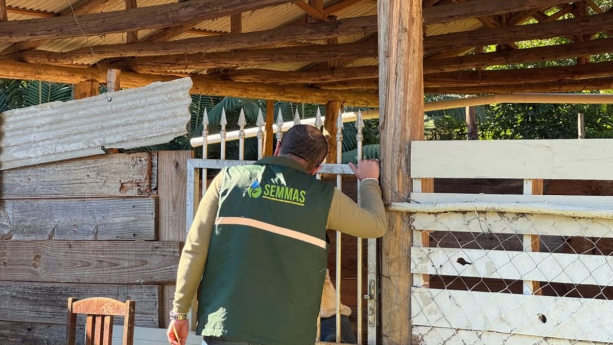 Casal é preso em flagrante por maus-tratos a animais em Blumenau