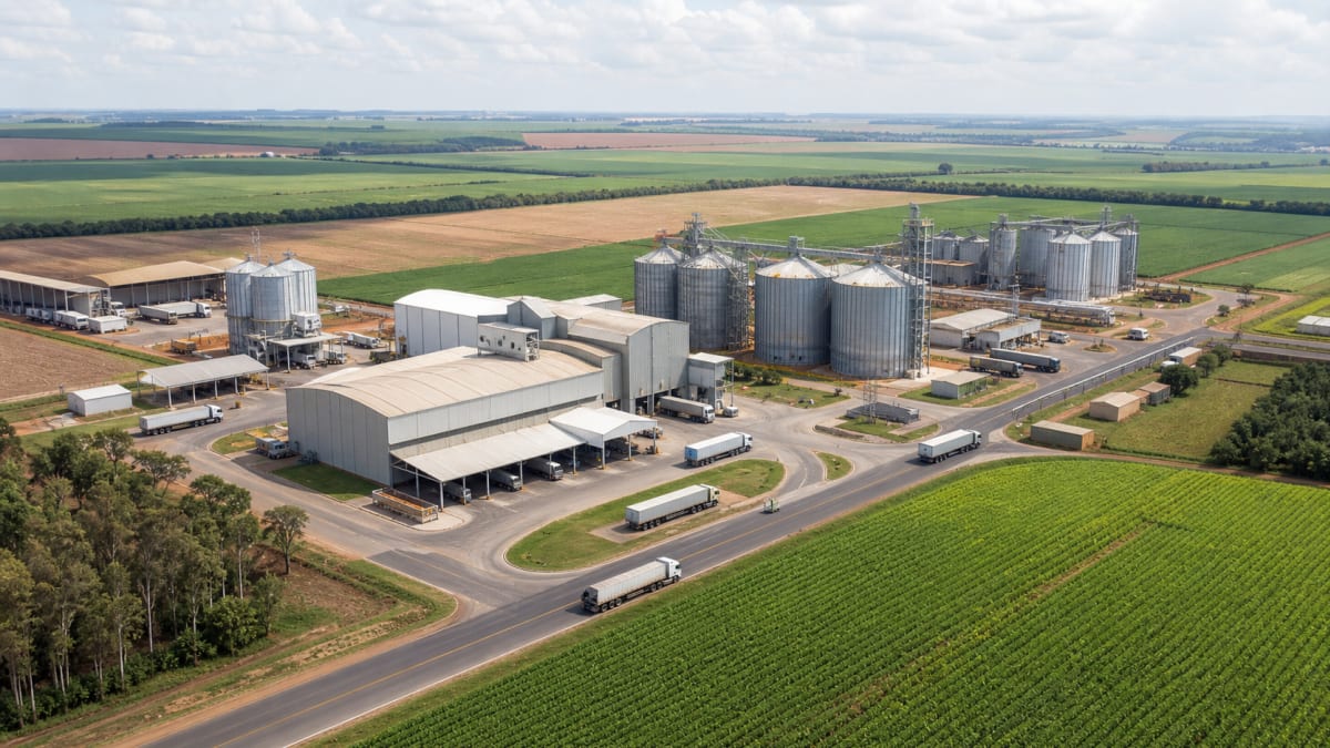 Mato Grosso registra recordes no abate de bovinos, exportação de carne e esmagamento de soja no primeiro semestre de 2026