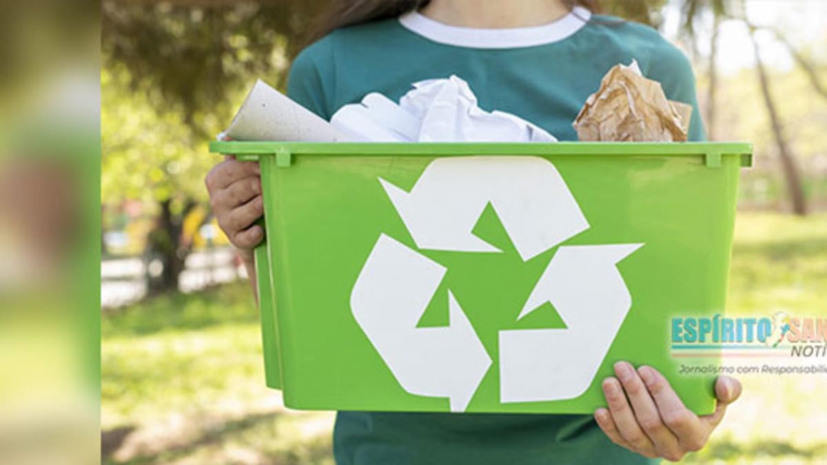 Separação correta de materiais recicláveis contribui para sustentabilidade e redução da poluição