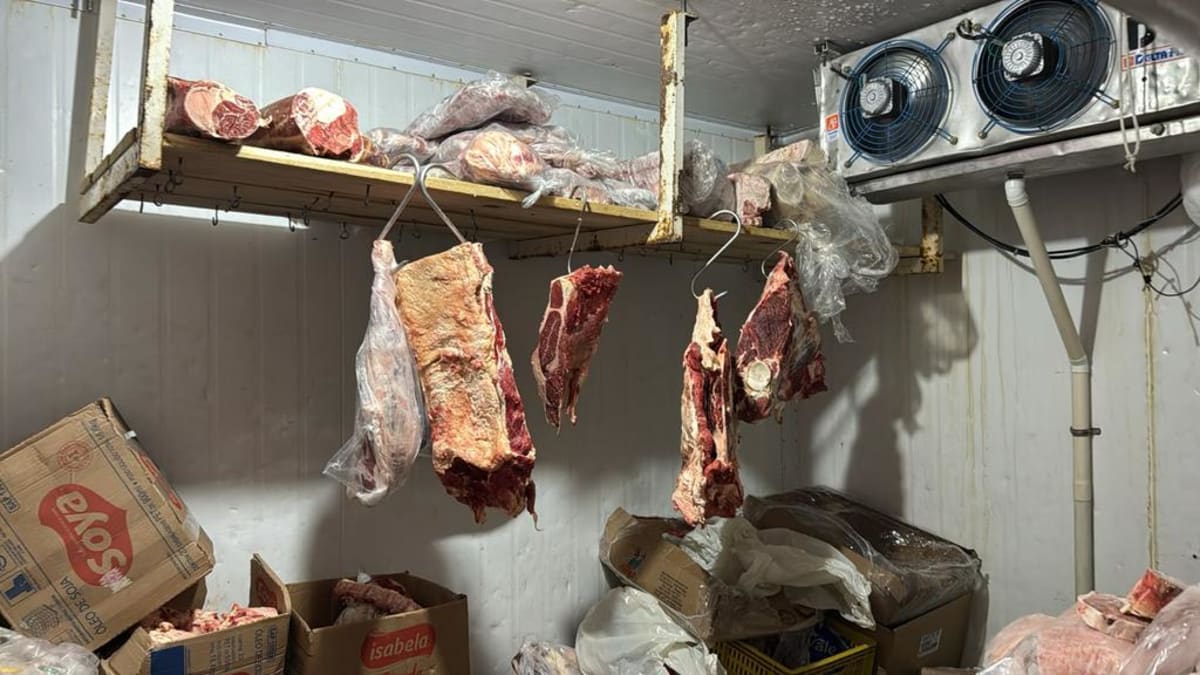 Fiscais apreendem alimentos irregulares e interditam câmara fria em mercado de Constantina
