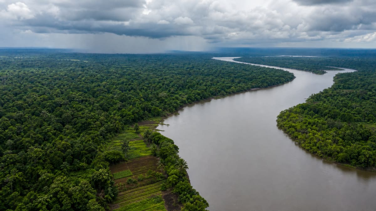 Projeto de lei propõe diretrizes para segurança alimentar climática na Amazônia Legal