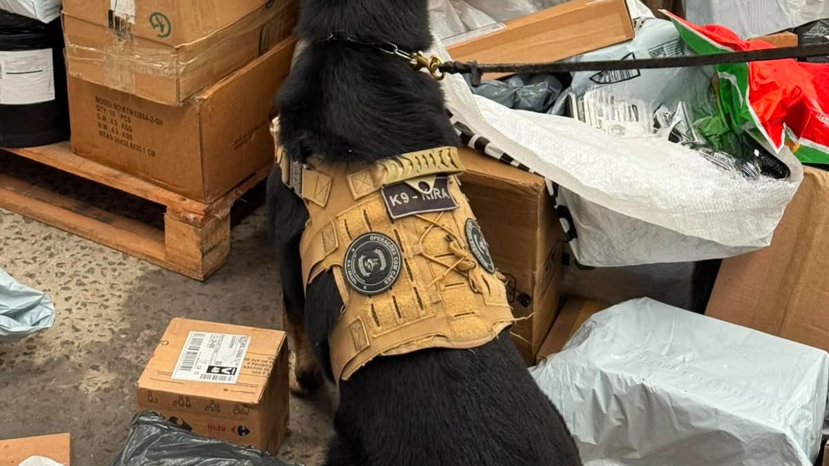 Homem é preso em flagrante por tráfico de drogas ao enviar encomenda com 6 kg de maconha em Guarapari