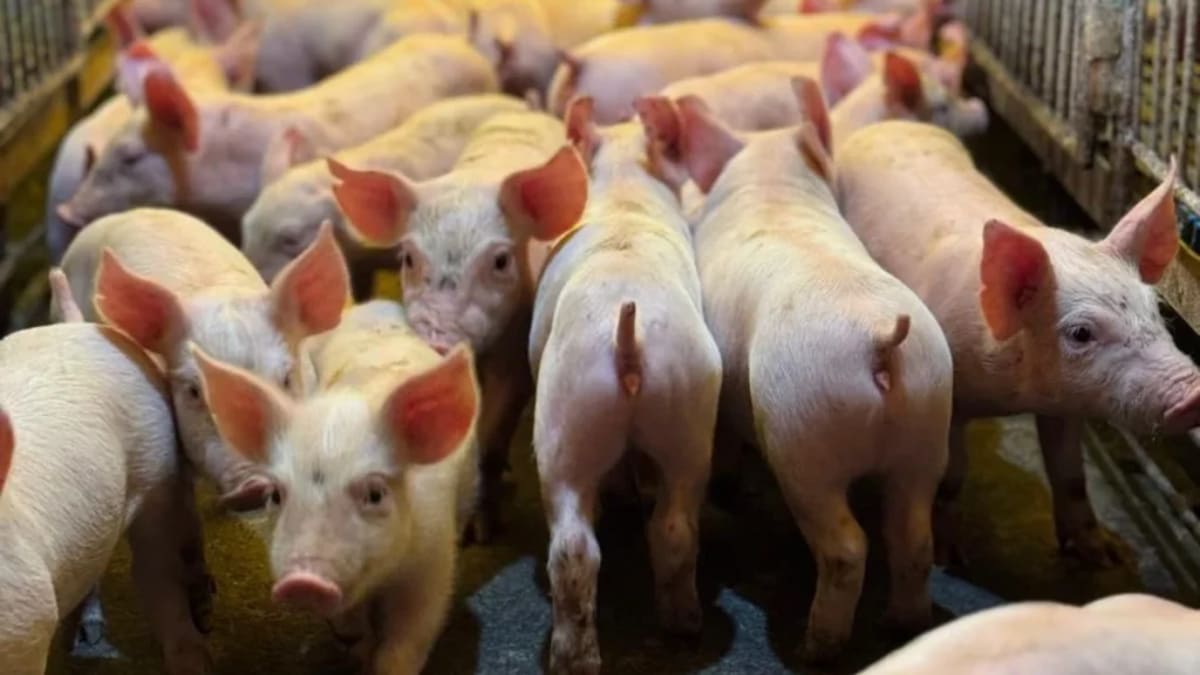 Produtor rural de Imaruí será indenizado em R$ 110 mil por problemas com cisterna