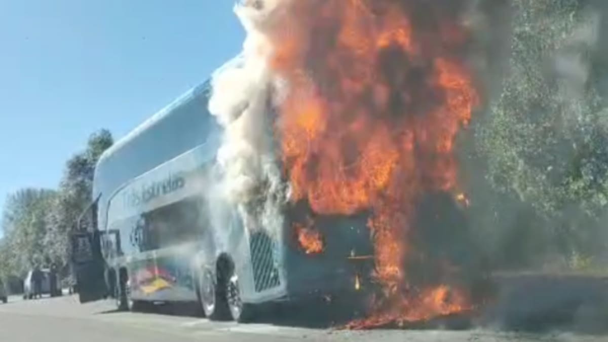 Ônibus rodoviário pega fogo na BR-116 entre Caxias do Sul e Vacaria
