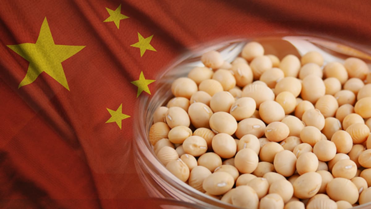 China deve reduzir compras de soja em 25% até 2035, diz diretor da Aprosoja Brasil