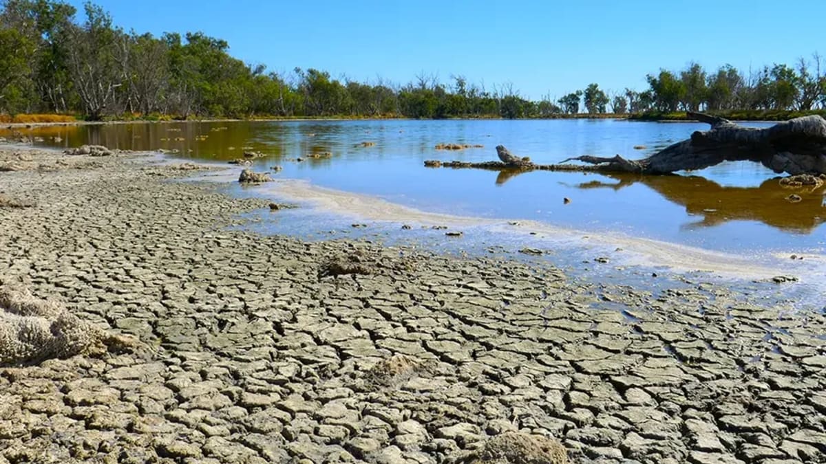 Espírito Santo se prepara para impactos do El Niño com risco de seca prolongada e calor intenso