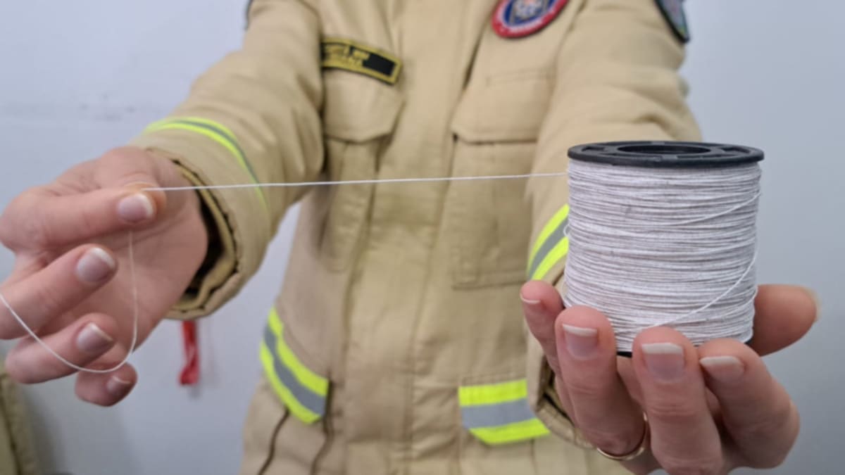 Câmara de Belo Horizonte aprova em 1º turno projeto que amplia restrições ao uso de linhas cortantes para pipas