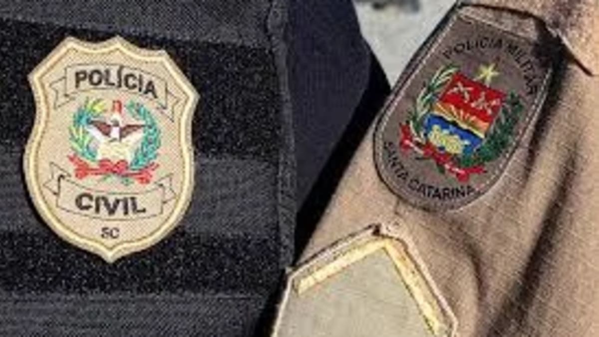 Polícia cumpre mandado e apreende arma em Chapadão do Lageado