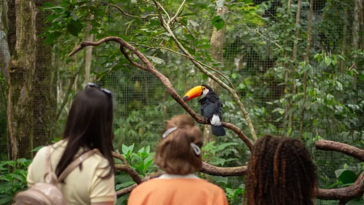 Voos entre Porto Alegre e Foz do Iguaçu têm mudanças nas frequências e horários em agosto
