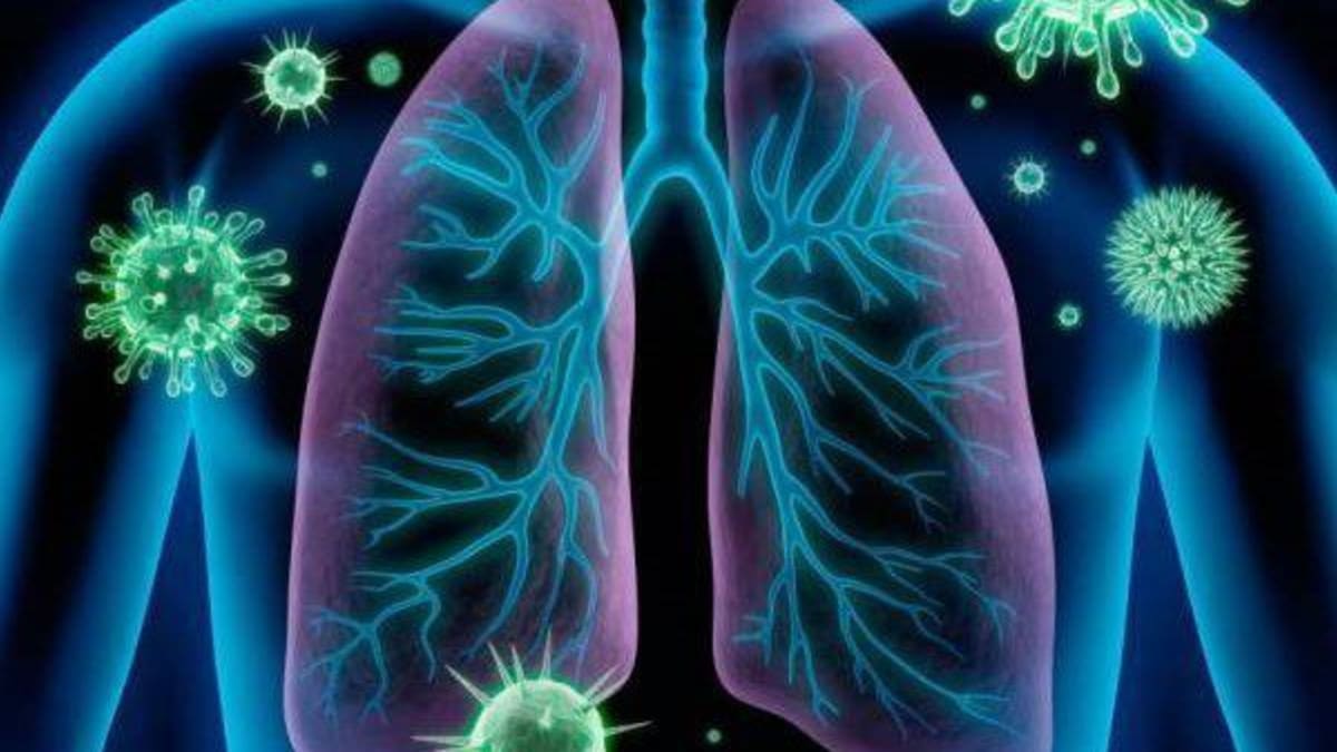 Espírito Santo mantém alerta para vírus respiratórios apesar de queda nacional em casos de SRAG
