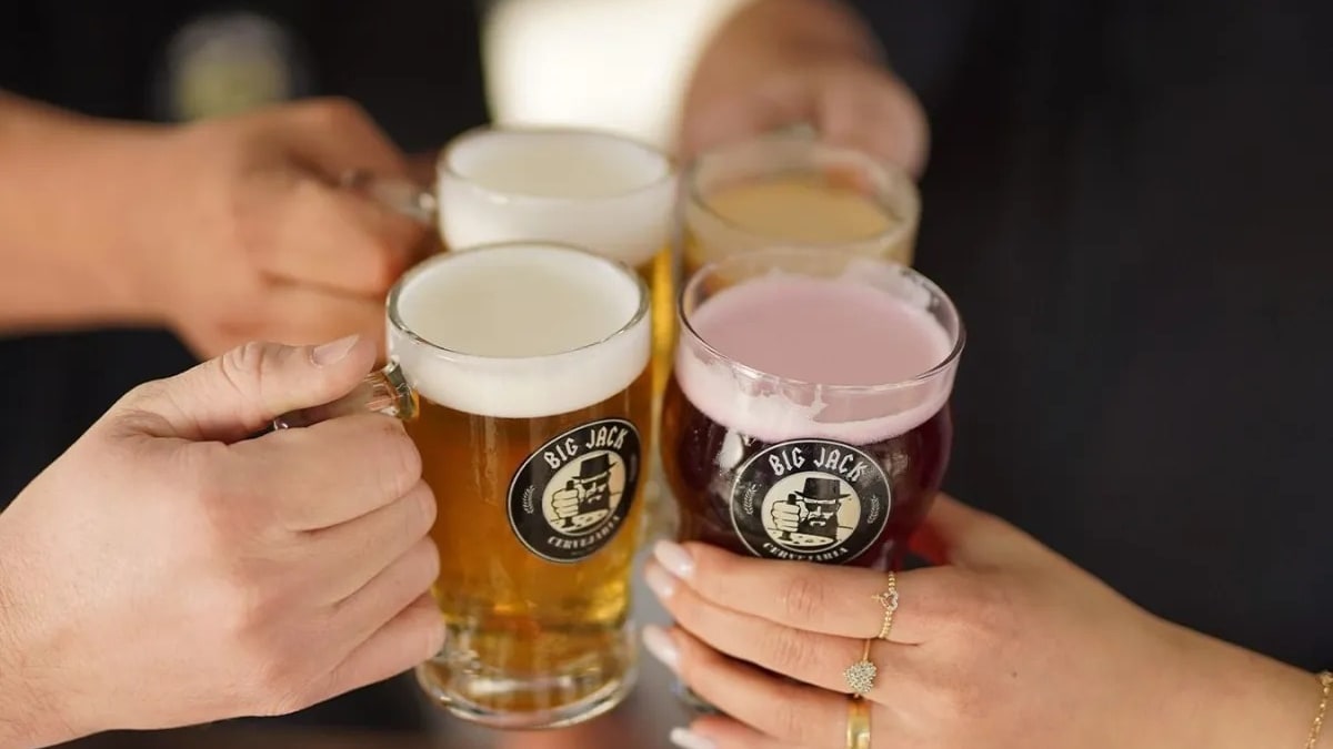 Orleans é reconhecida como Capital Catarinense da Cerveja Artesanal
