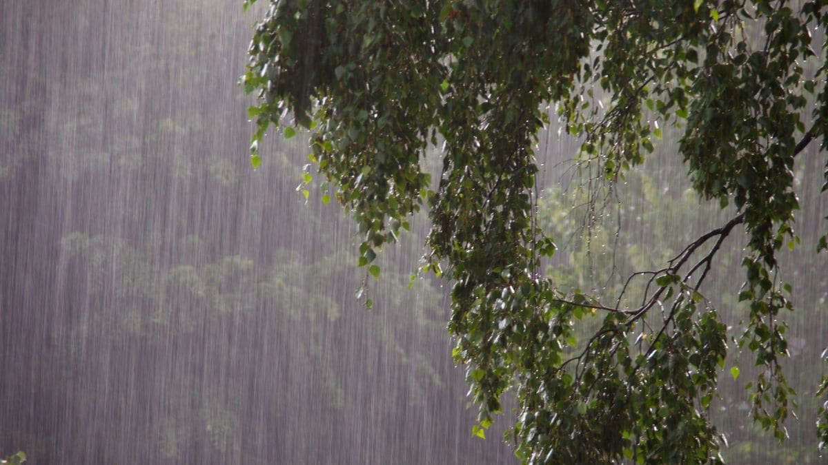 Santa Catarina enfrenta temporais com raios, vento forte e granizo a partir da tarde