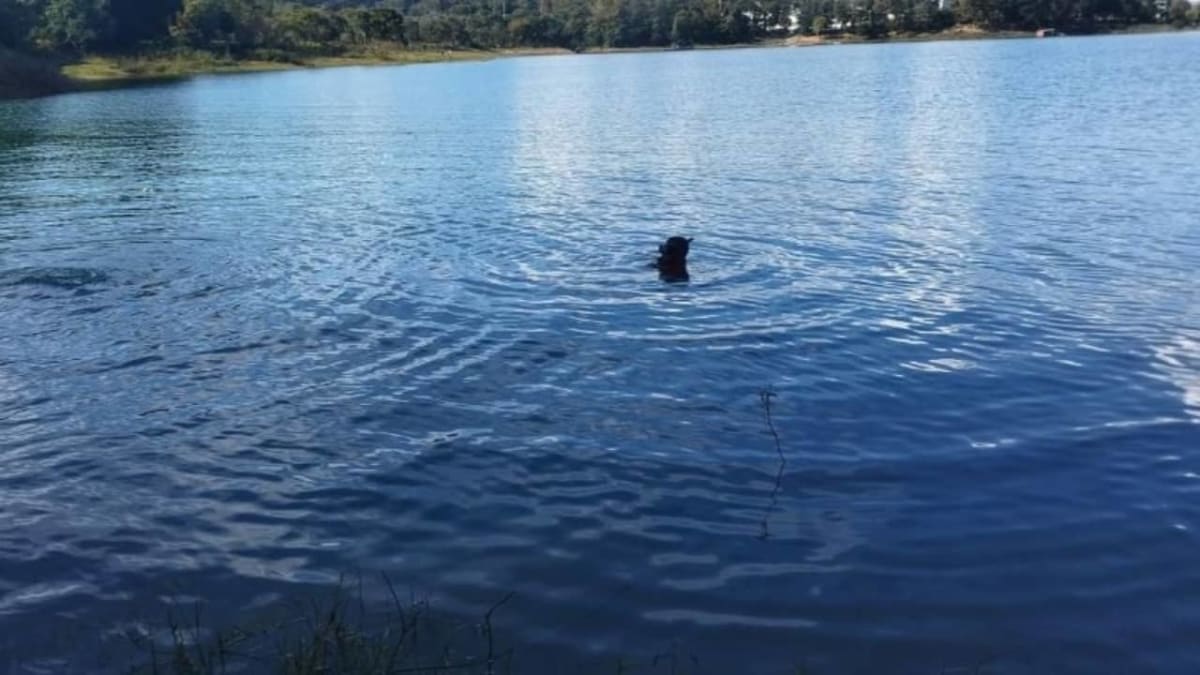 Duas pessoas morrem afogadas no Lago Corumbá, em Caldas Novas