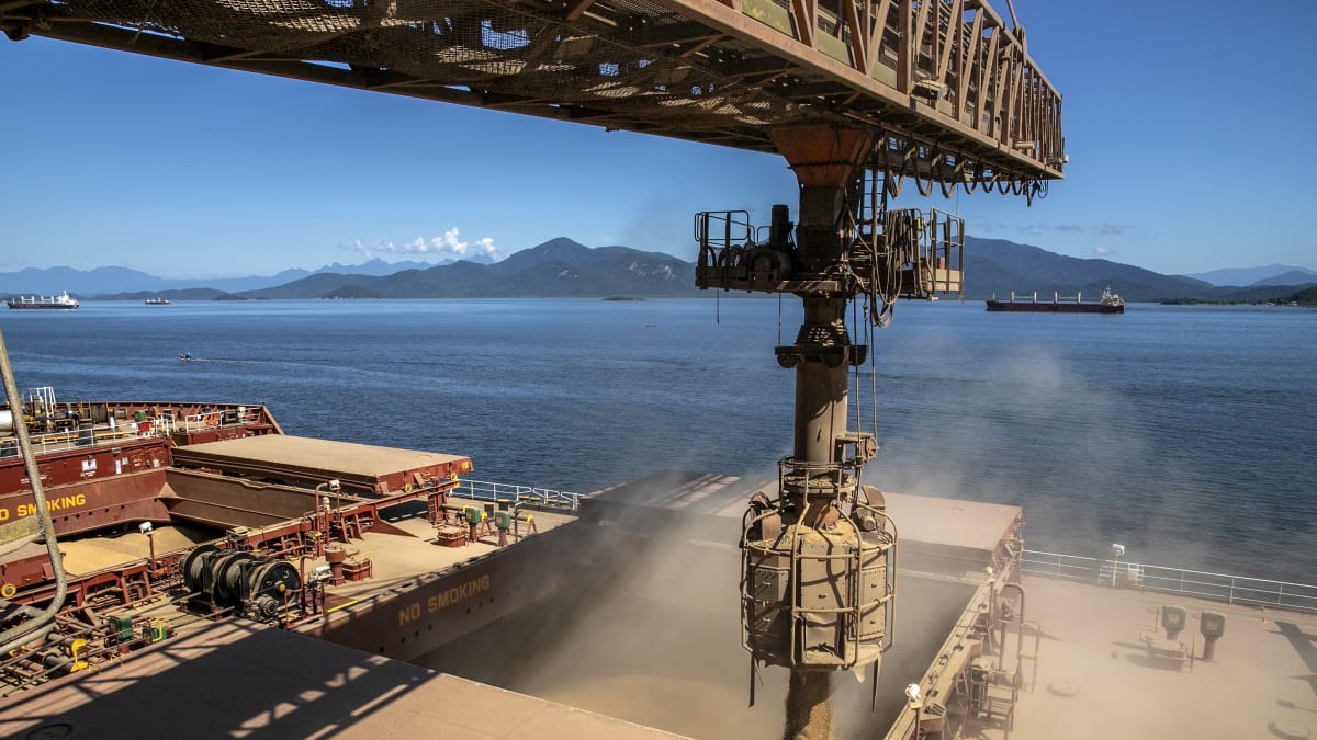 Exportações brasileiras de soja e milho apresentam variações em junho e projeções para julho