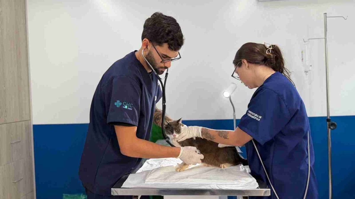 Hospital Veterinário de Florianópolis realiza 40 mil procedimentos no primeiro trimestre