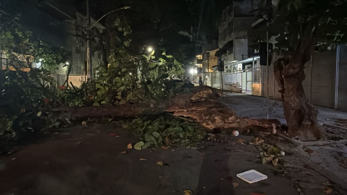 Frente fria provoca ventos fortes e queda de árvores no Rio de Janeiro