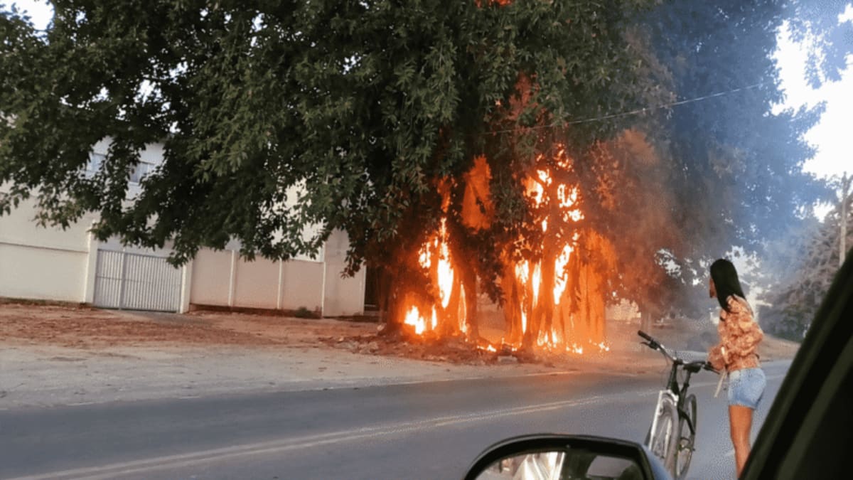 Incêndios mobilizam equipes e mantêm trecho da ES-060 parcialmente interditado em Marataízes