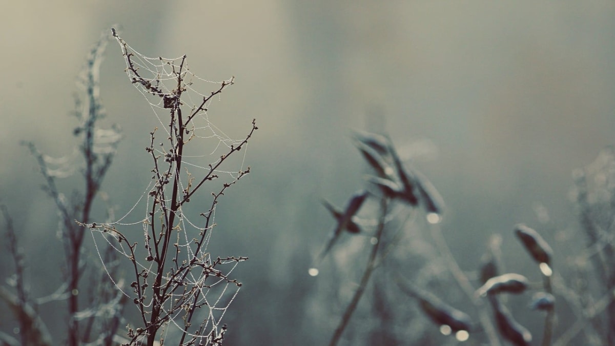 Frio chuva chance de geada e temperaturas proximas de 0c confira a previsao do tempo
