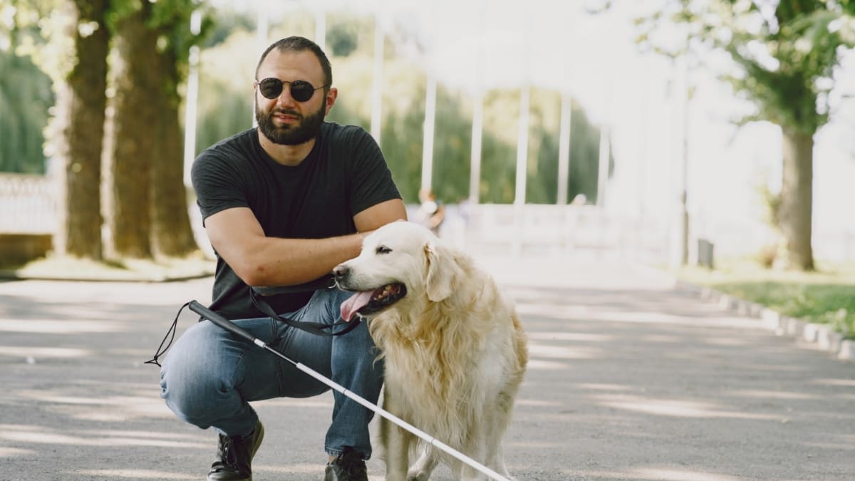 Lei de cão-guia em Salvador gera debate entre motoristas de app e taxistas