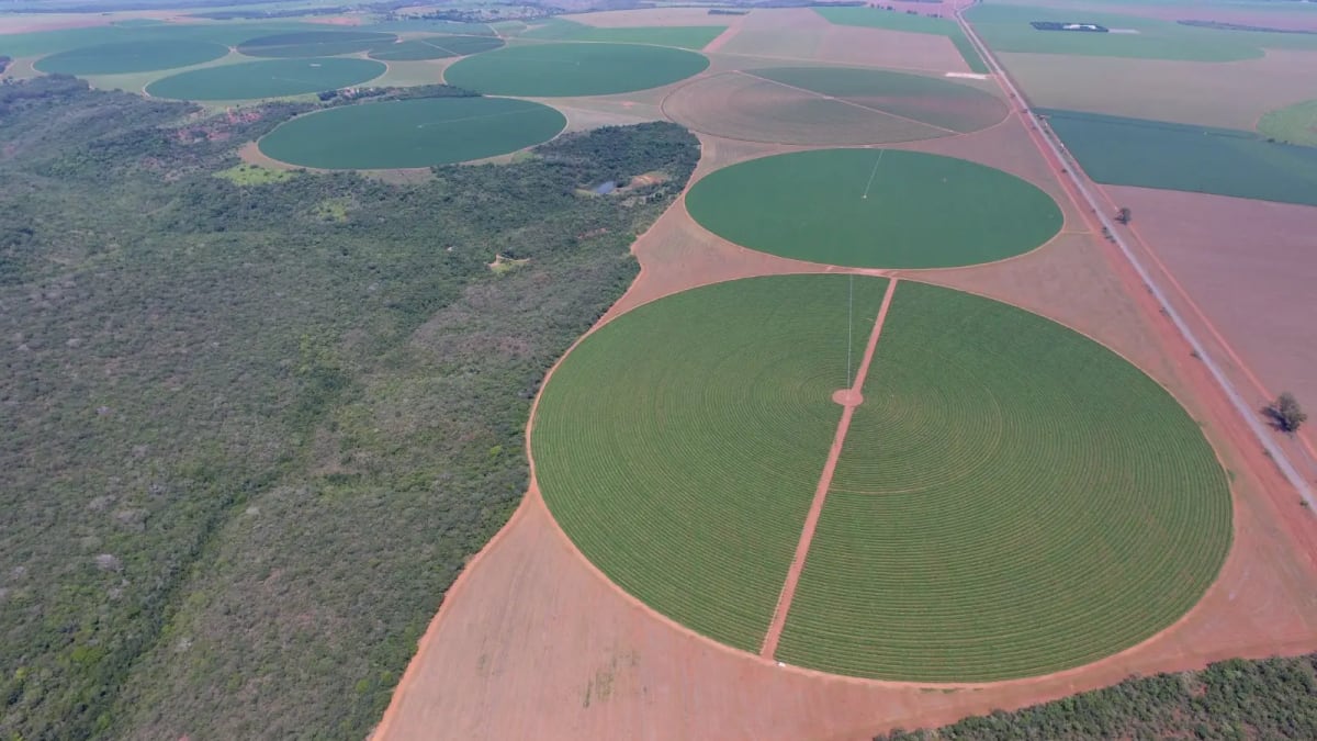 Consumo de energia para irrigação cresce 11% em três anos em Goiás