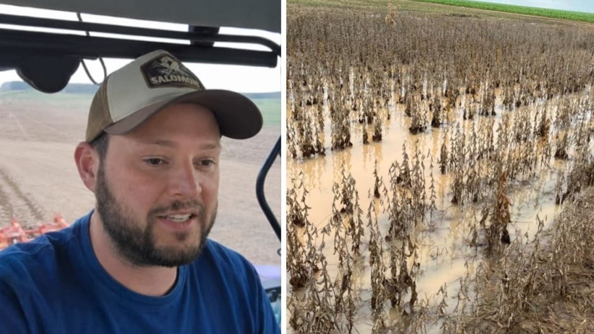 Produtor gaucho precisa de 54 sacas de soja para pagar dividas mp nao me ajuda diz agricultor