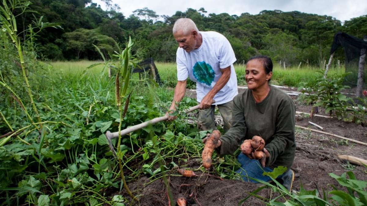 Governo do Rio cria programa para apoiar produtores rurais na conservação ambiental e na produção sustentável
