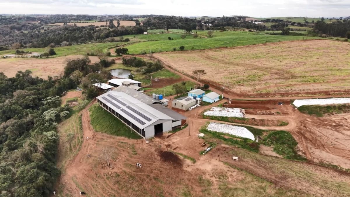 Cadeia leiteira de Santa Catarina mostra sinais de recuperação em 2026