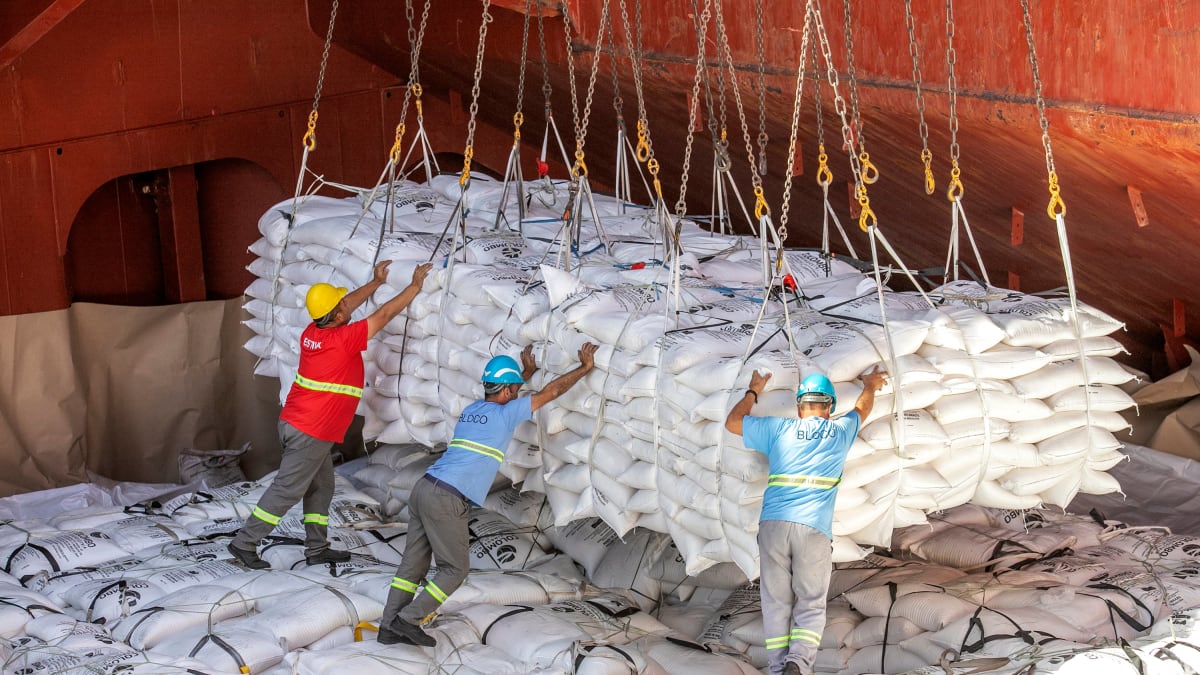 Estados Unidos mantêm tarifa reduzida para açúcar brasileiro dentro da cota e pressionam por acesso livre ao etanol