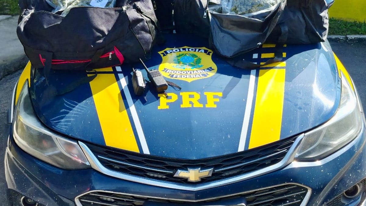 PRF apreende 24 quilos de skunk na BR-101 em Paulo Lopes