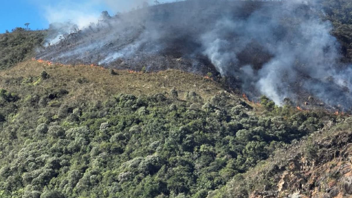 Incêndio atinge área de conservação ambiental no Parque Nacional da Serra do Gandarela em Rio Acima