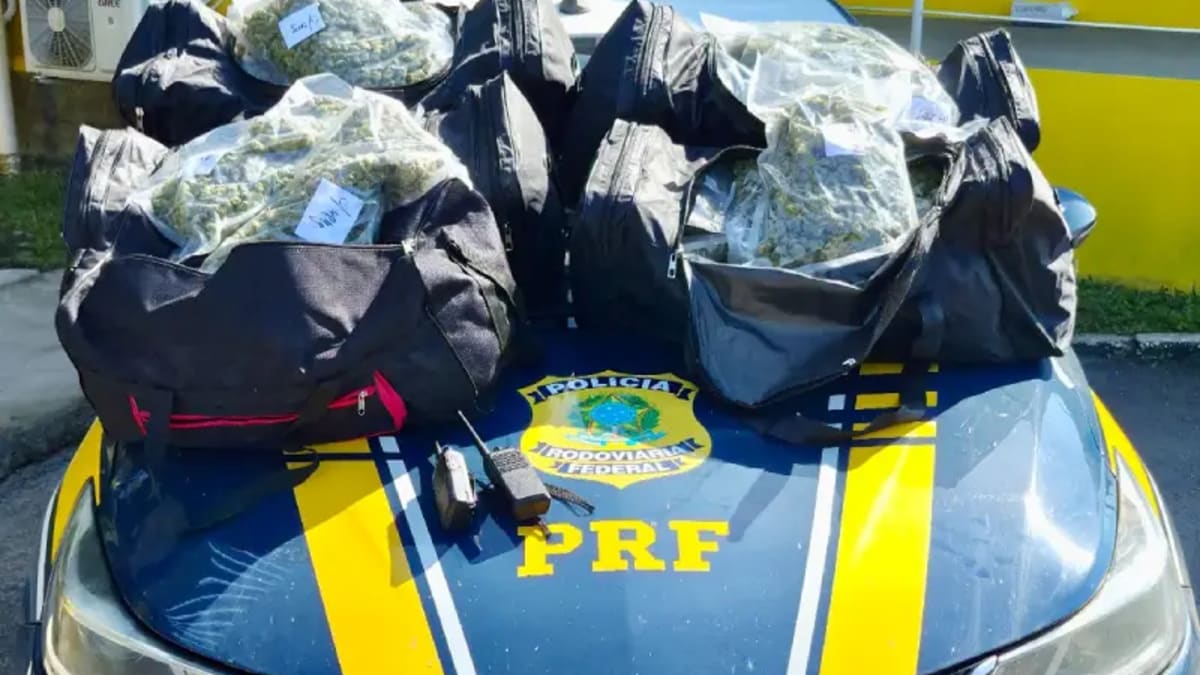 PRF apreende 24 quilos de maconha na BR-101 em Paulo Lopes