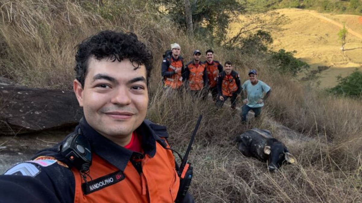 Bombeiros resgatam novilha presa em fenda de terreno em Afonso Cláudio