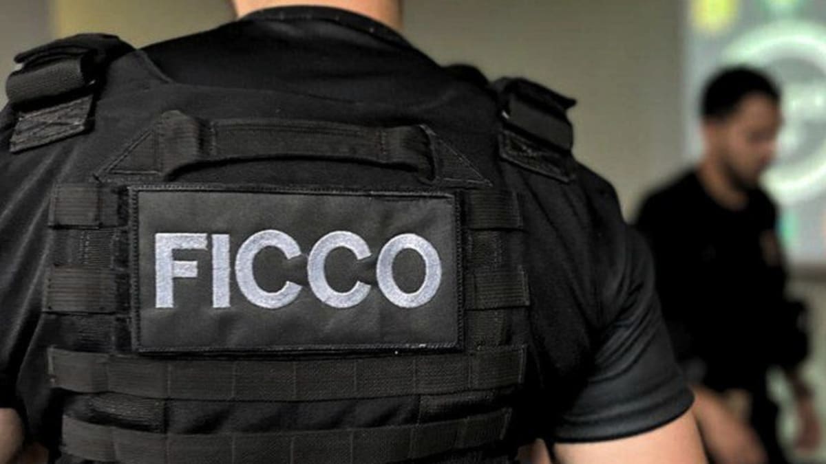 Força Integrada prende homem foragido e apreende munições no Espírito Santo