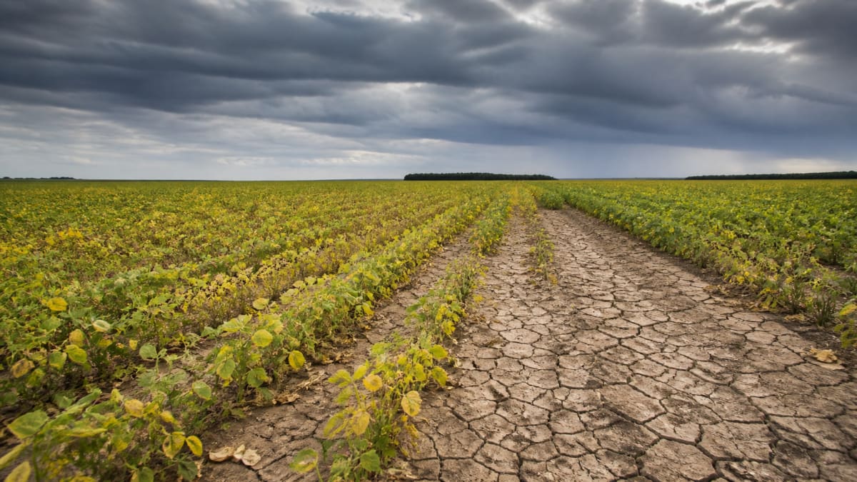 Safra 2026/2027 enfrenta restrição orçamentária no seguro rural em meio a riscos climáticos