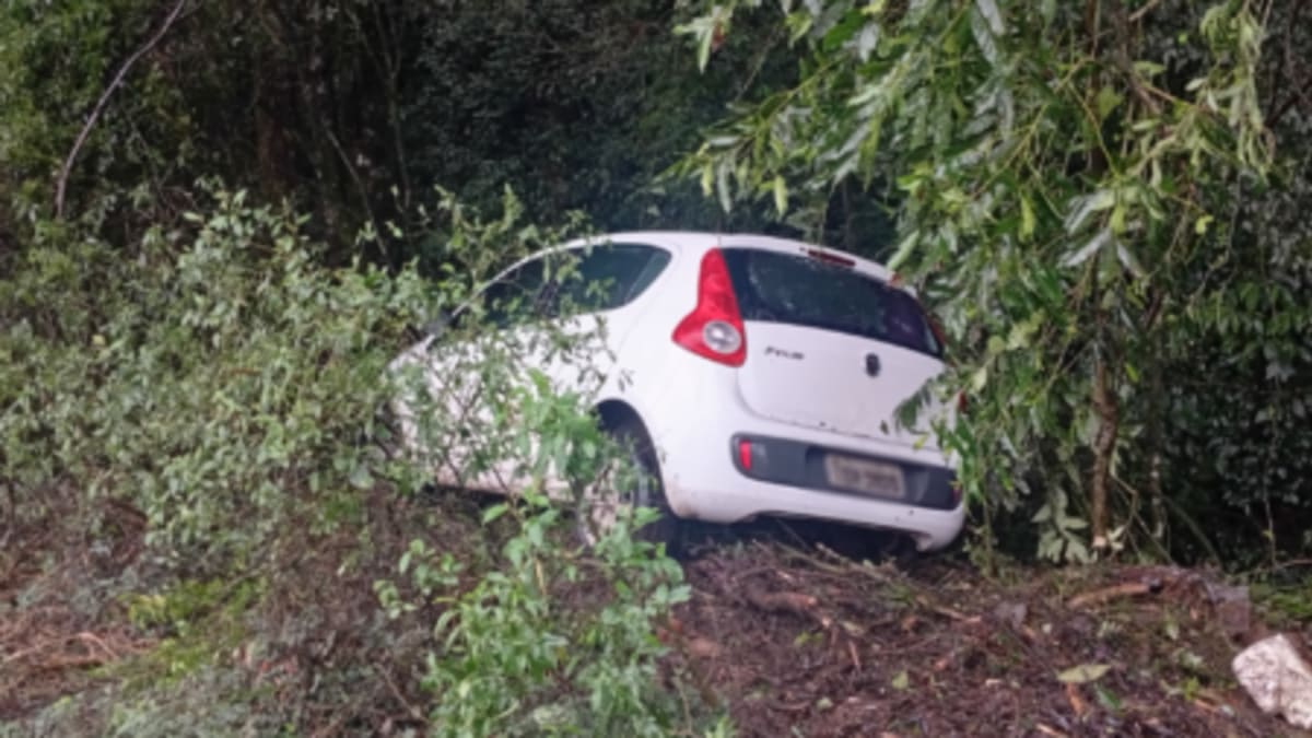 Veículo sai da pista e para em área de mata na RSC-453 entre Farroupilha e Garibaldi