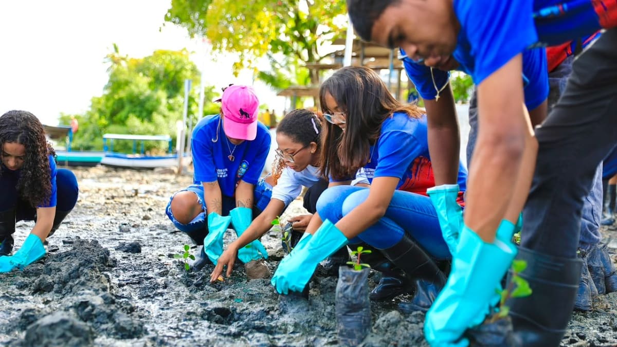 Estudantes participam de ação de recuperação do manguezal em Salvador