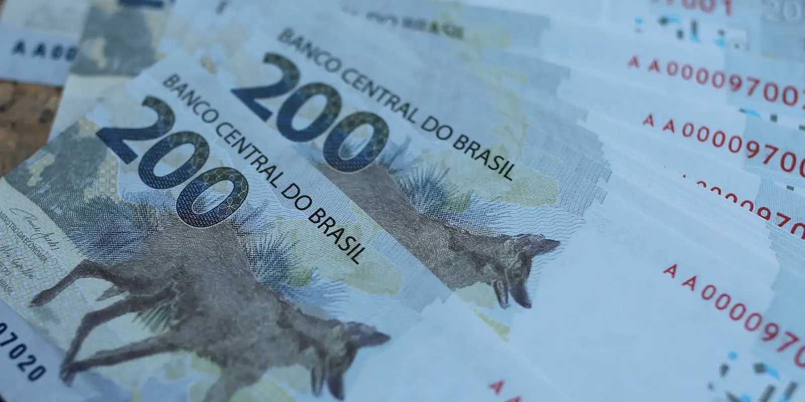 Tesouro Direto registra vendas recordes impulsionadas por novo título