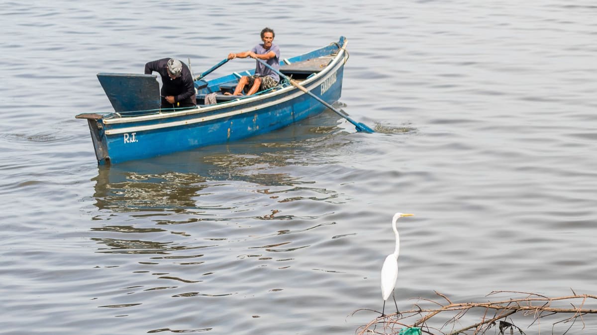 UFRJ desenvolve coletor flutuante de lixo para embarcações na Baía de Guanabara