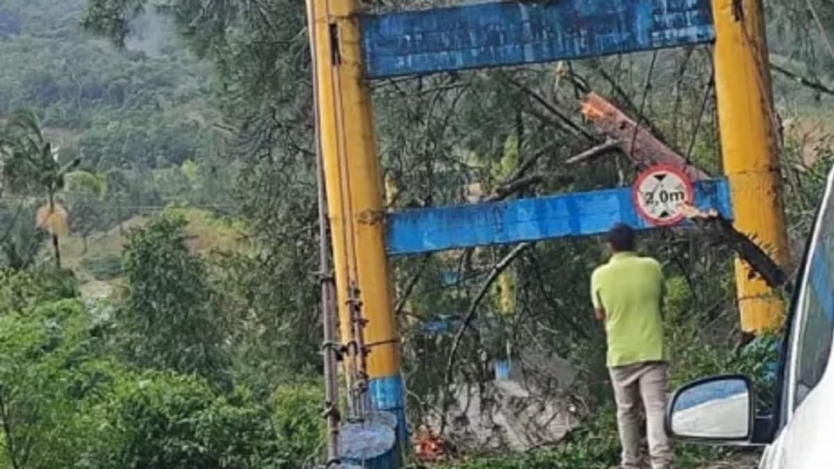 Ponte pênsil na barragem de Rio do Sul é interditada após queda de árvore