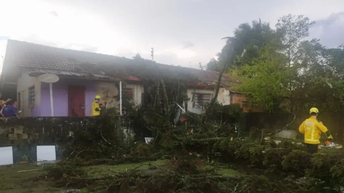 Temporal provoca queda de árvores e mobiliza Bombeiros no Alto Vale do Itajaí
