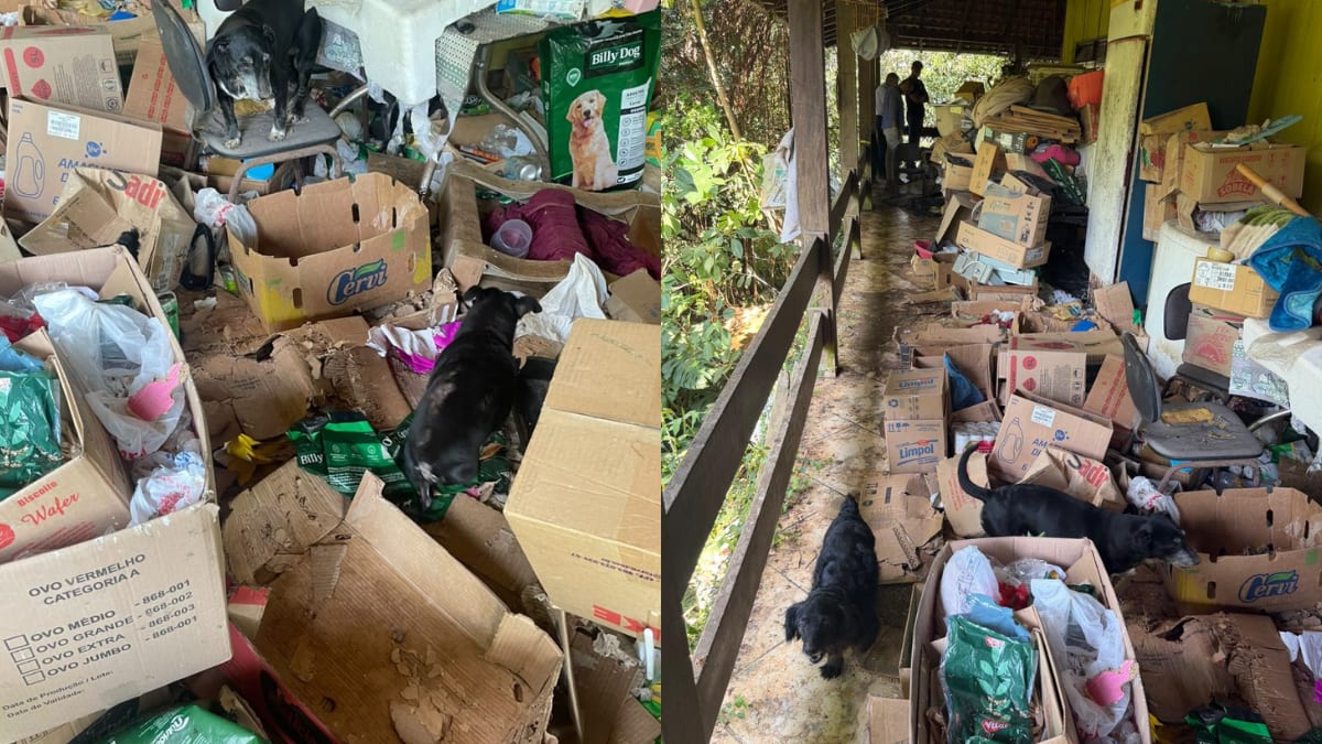 Animais são resgatados de residência com condições precárias em Santa Catarina