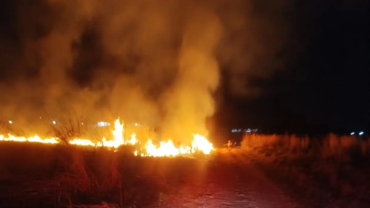 Bombeiros combatem incêndio e alertam para prevenção durante estiagem em Goiás