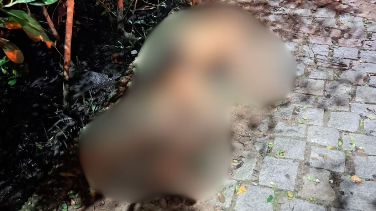 Homem morre após agressão em área de mangue no Centro de Balneário Camboriú