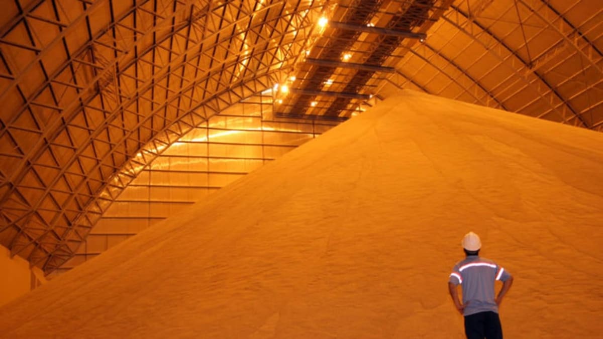 Falta de armazenagem limita crescimento da produção de soja no Brasil