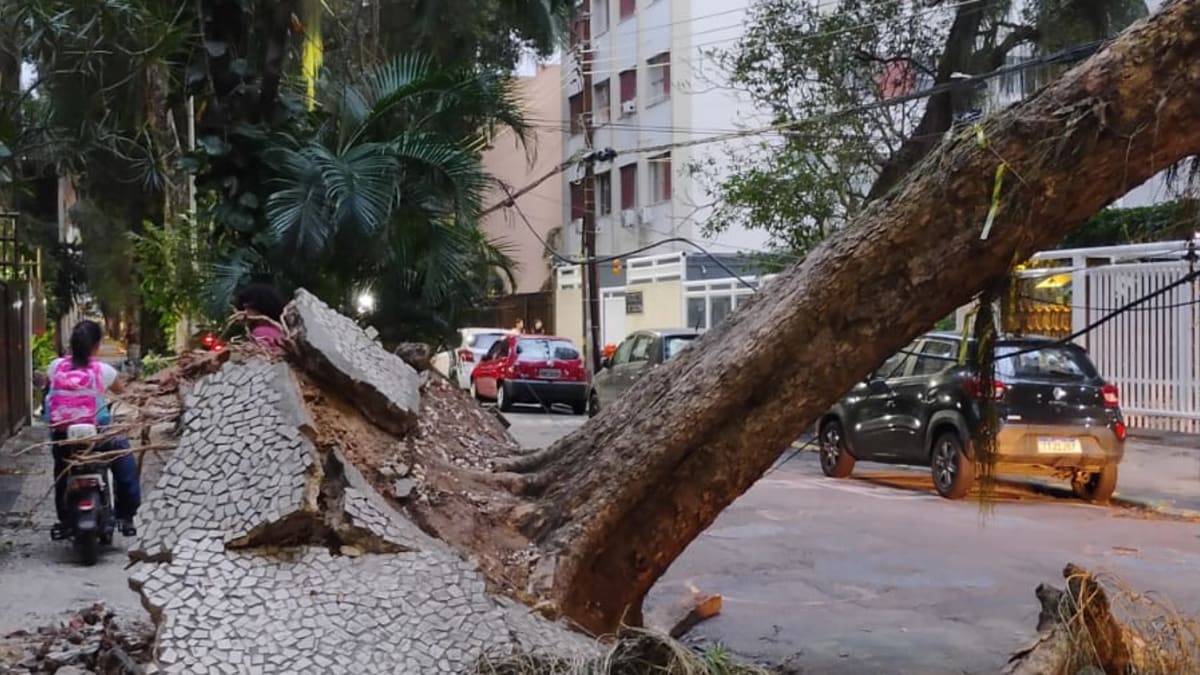 Defesa Civil e Corpo de Bombeiros monitoram rajadas de vento fortes no Rio de Janeiro