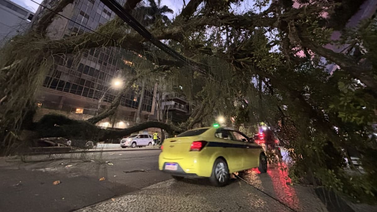 Forte ventania no Rio provoca quedas de árvores e danos em imóveis