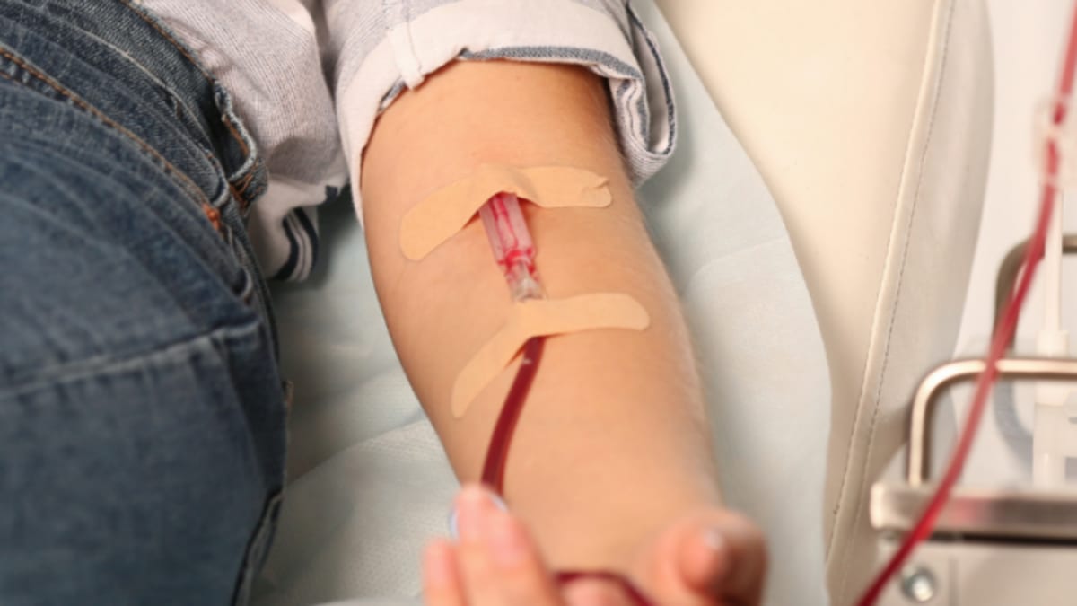 Campanha de doação de sangue em Bento Gonçalves tem 80% dos horários preenchidos